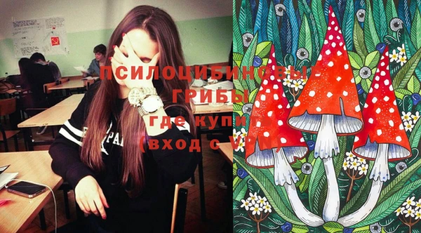 стафф Беломорск