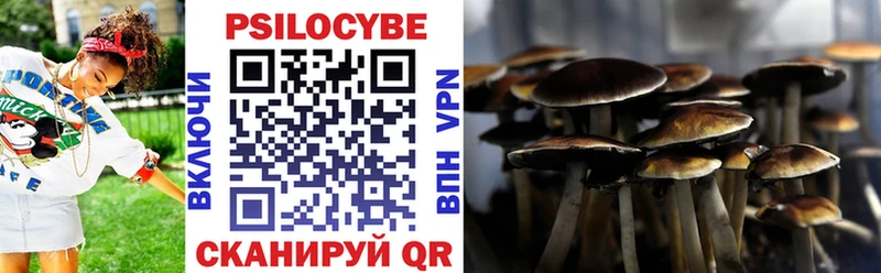 наркота  blacksprut как войти  Псилоцибиновые грибы Cubensis  Киров 